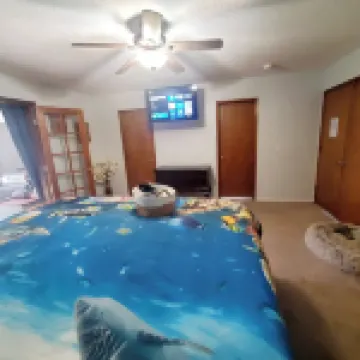 Cute 1 Bdrm Studio. Perfect to Get Away from the Hustle and Bustle of City Life.