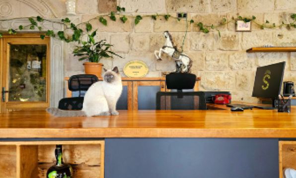 Serene Premium Stone House - Housity