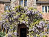 Blackmore Farm Hotels in Spaxton