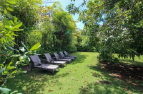 Palm Grove by Bluescape Hotels in 