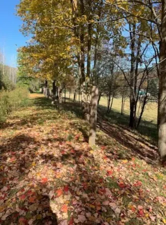 Valley View Farm Retreat