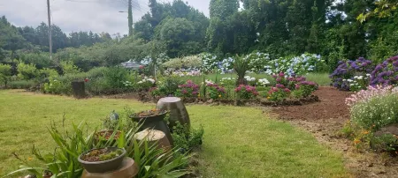 Jeju ChunJaNe Pension Отели рядом с достопримечательностью «Bonte Museum»