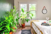 Jungle Thyme Hotels in Chillicothe