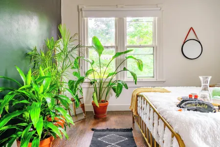 Jungle House Luxury Stays - Downtown Chillicothe