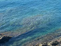 A window to the sea - Beautiful apartment all renovated Nervi Genoa Hotels in Nervi