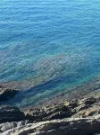 A window to the sea - Beautiful apartment all renovated Nervi Genoa