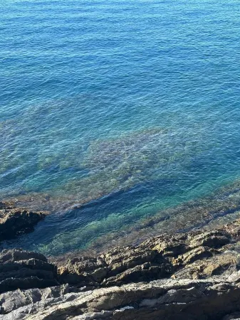 A window to the sea - Beautiful apartment all renovated Nervi Genoa Отели в г. Nervi