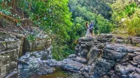 Ocean View Cabin located on Organic Coffee Farm with Hiking Trails