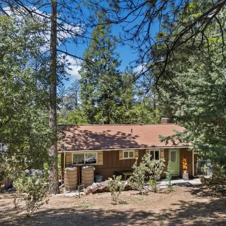 Central Heat & Air, WiFi, Wall Mural and Fully Fenced Minutes from Downtown