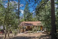 Central Heat & Air, WiFi, Wall Mural and Fully Fenced Minutes from Downtown
