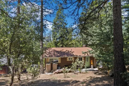 Central Heat & Air, WiFi, Wall Mural and Fully Fenced Minutes from Downtown