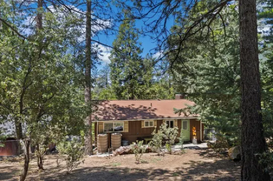 Central Heat & Air, WiFi, Wall Mural and Fully Fenced Minutes from Downtown