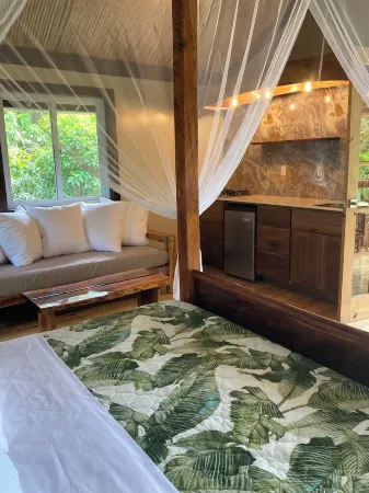 Tranquil Waterfall Studio, Oceanfront with Jungle Hiking and Starlink