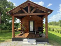 Blackberry Bungalow,,Cozy cabin in charming Longview with WiFi, AC , a