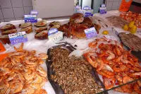 Country Home on Bay of Arcachon