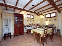 Cottage in Tuscany with Pool & Olive Groves
