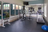 Holiday Inn Express & Suites CHATTANOOGA (EAST RIDGE) by IHG - Gym