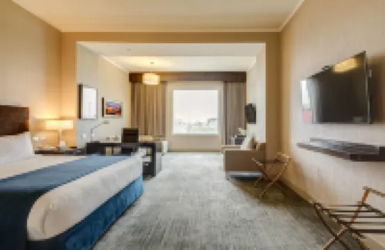 聖地亞哥機場溫德姆酒店 酒店