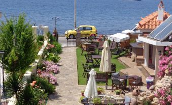 Niki Studios Sea - Front