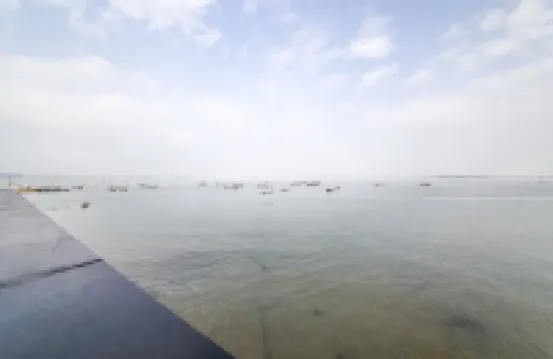 Dangjin W