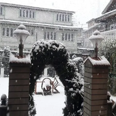 Blooming Dale Hotel