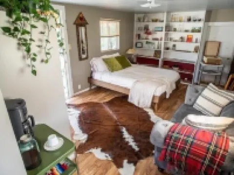 The Hollywood Cowboy