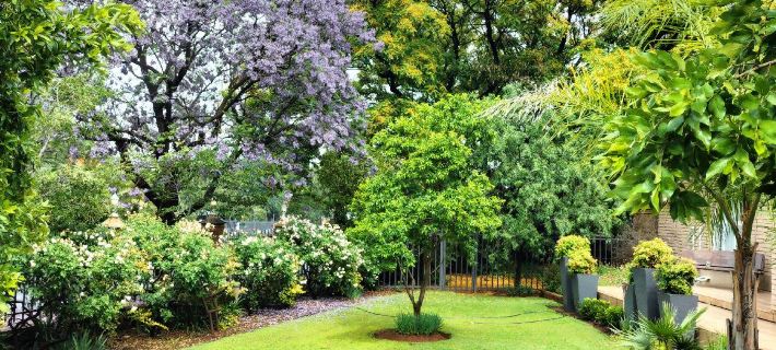 Park Living Guesthouse Hotel di Motheo