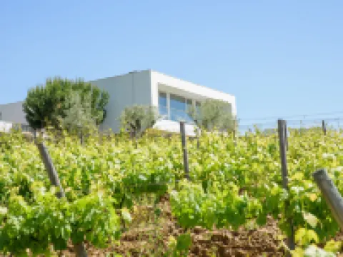 Quinta Do Bosque Hotels in Baiao