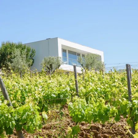 Quinta Do Bosque