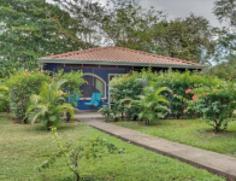 Tropical Perfection, Includes Kayak, Snorkel, Beach Gear, Walk to the Beach