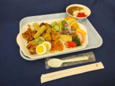 Toyoko Inn Odawara Station