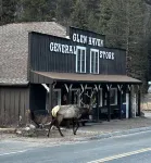Inn of Glen Haven