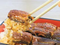 Otakan