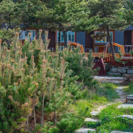 Uljin 207 Mile Pension