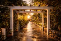 Basilica Resort - Where Luxury Redefines - breakfast