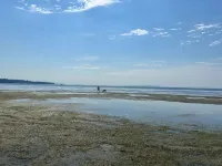 Nautical Acres - Private 1 Bd Cottage on Beautiful Acreage 250m to Beach Access