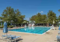 Bear Trap Glory Pools & Golf - Pools