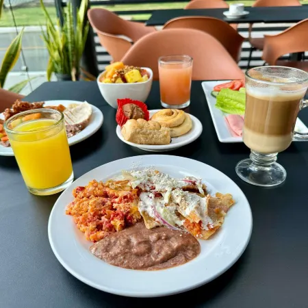 Ibis Merida