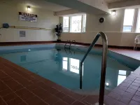 Western Budget Motel #1 Leduc/Nisku - Familien