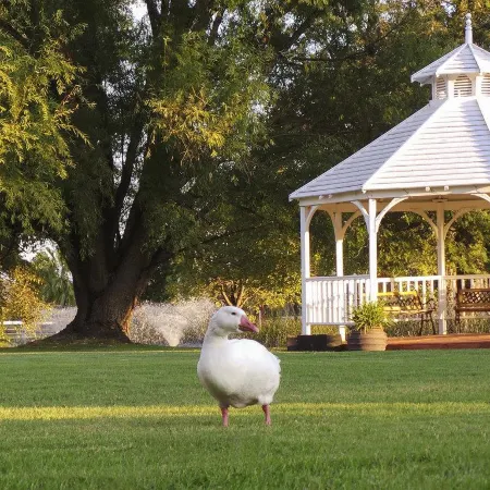 Parklands Resort Mudgee
