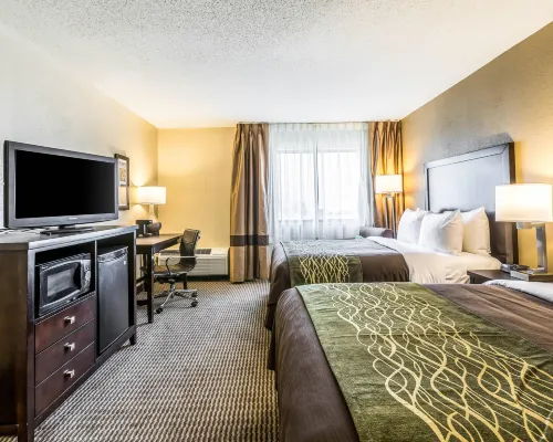 كومفرت إن ديترويت داون تاون Hotels near منتزه بيلي أيسل