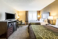 Comfort Inn Downtown - breakfast