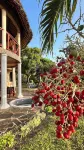 Room-38m2 Turtle Suite in a 560 m2 Villa - Villaer