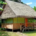 Amazon Tropical Expeditions