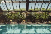 Rox Resort - spa