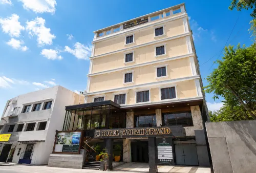 HOTEL TAMIZH GRAND - piscina