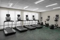 TownePlace Suites by Marriott Palmdale - Træningscentre
