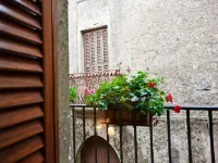 Hotel Moderno - Haustierfreundliche