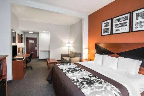 Sleep Inn & Suites Palatka North - WiFi