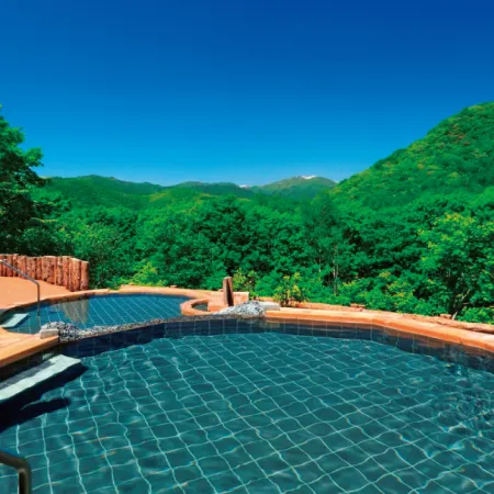 Minakami Kogen Hotel 200